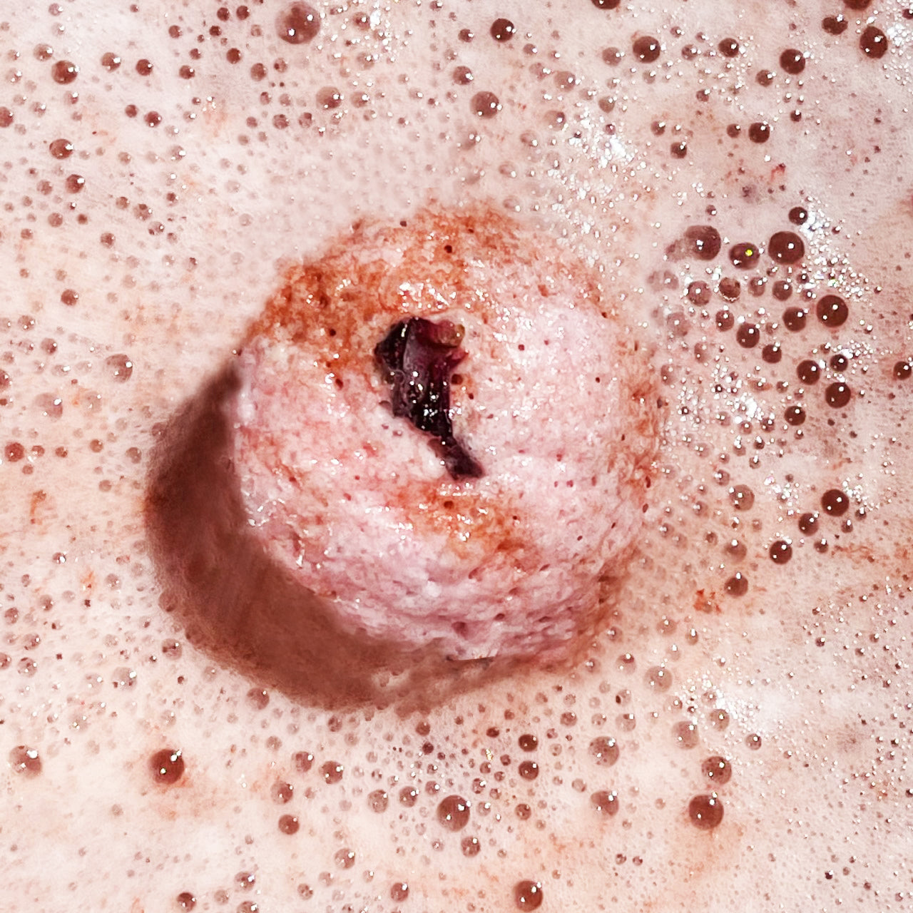 Botanic Garden Wild Rose Bath Bomb